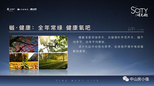 2024新澳门码正版|未来趋势与机遇解析_XT.0.970