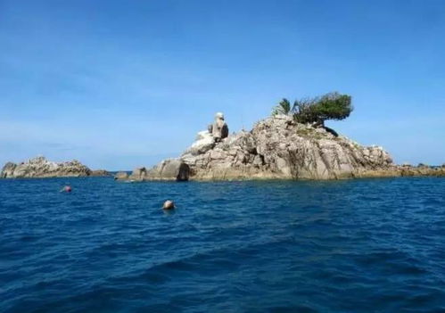 puffpals island skies(泡芙天空岛)最新版煎饼店免广告下载-puffpals island skies(泡芙天空岛)下载v.5.49
